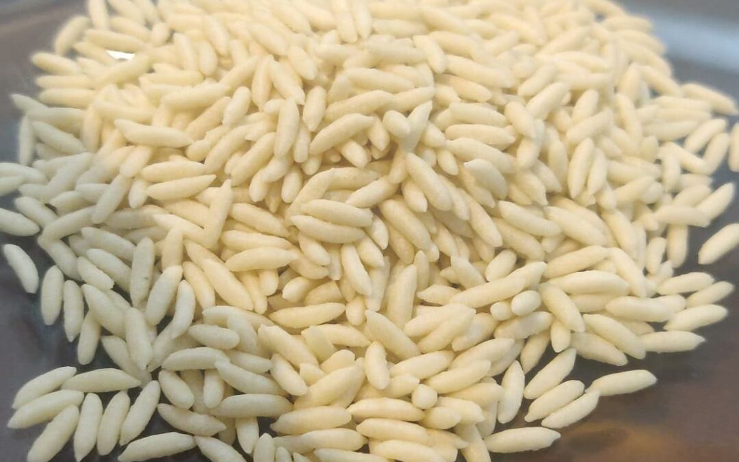 Why Fortified Rice Matters for Your Family’s Health